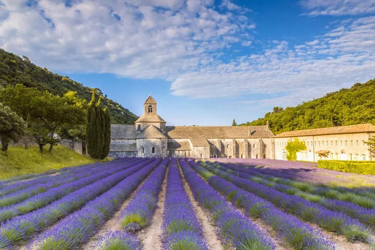 Abbaye de Senanque